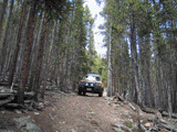 SpringCreek5.GIF (19160 bytes)